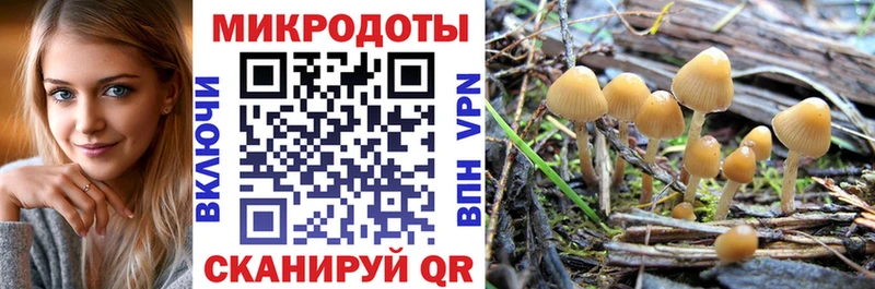 Галлюциногенные грибы MAGIC MUSHROOMS  Новая Усмань 